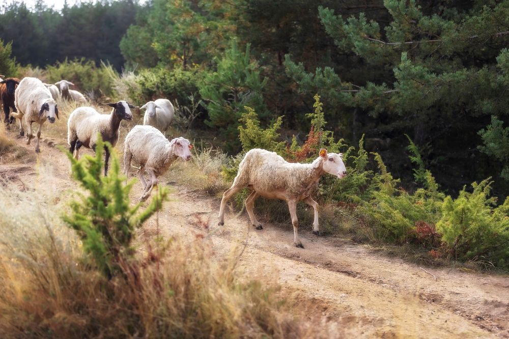 Photograph by Nataliya Nazarova