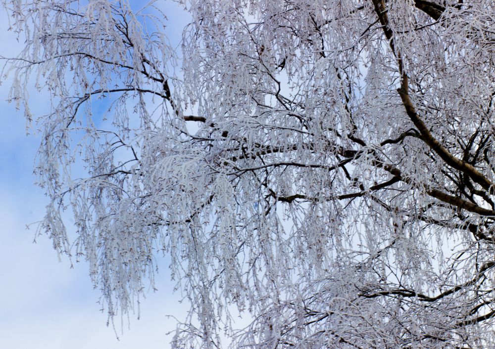 Photograph by Екатерина Филина
