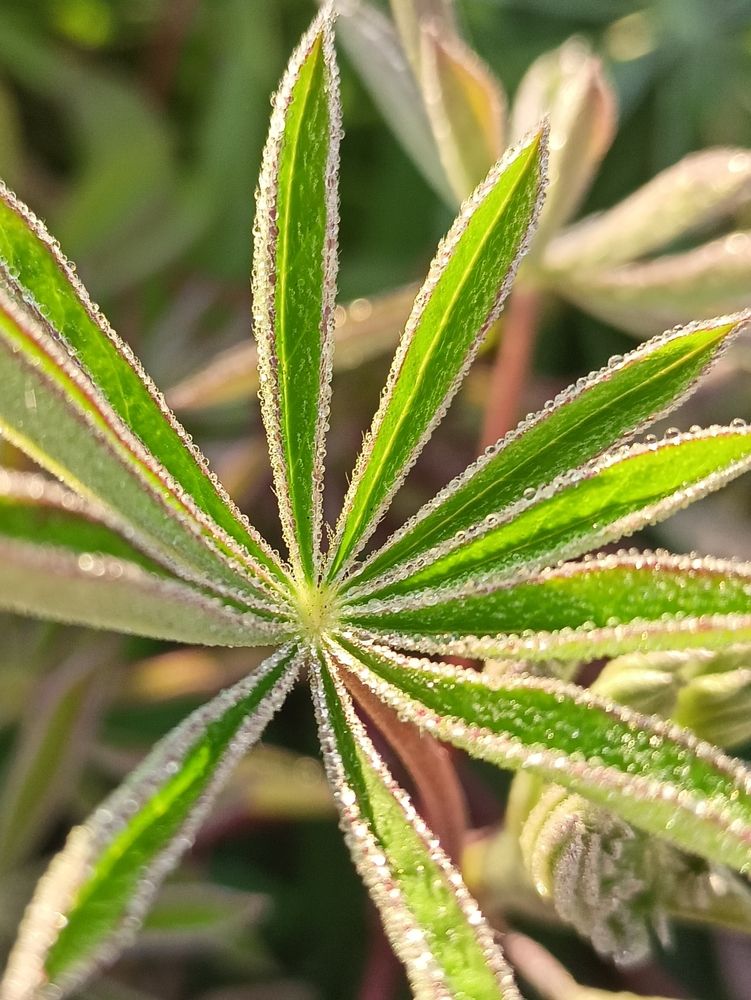 Photograph by Анастасия Горбачева