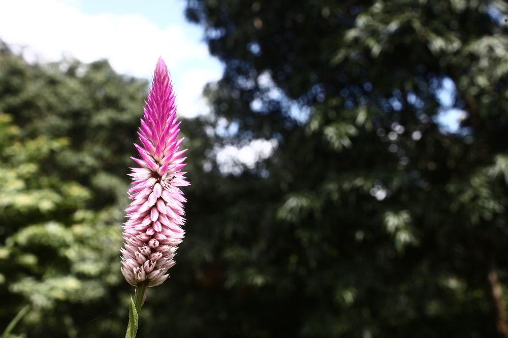 Фотография автора Delvis Romero