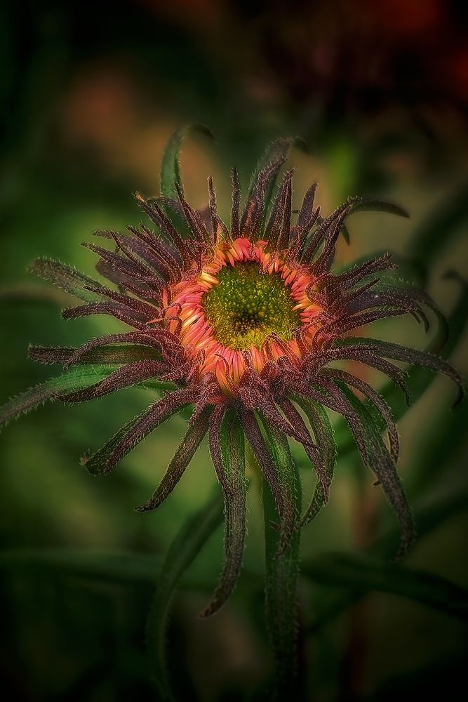 Photograph by Татьяна Бравая