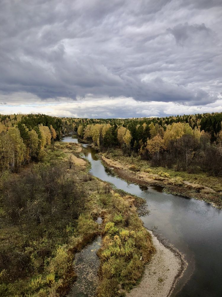 Фотография автора Евгения Елисеева