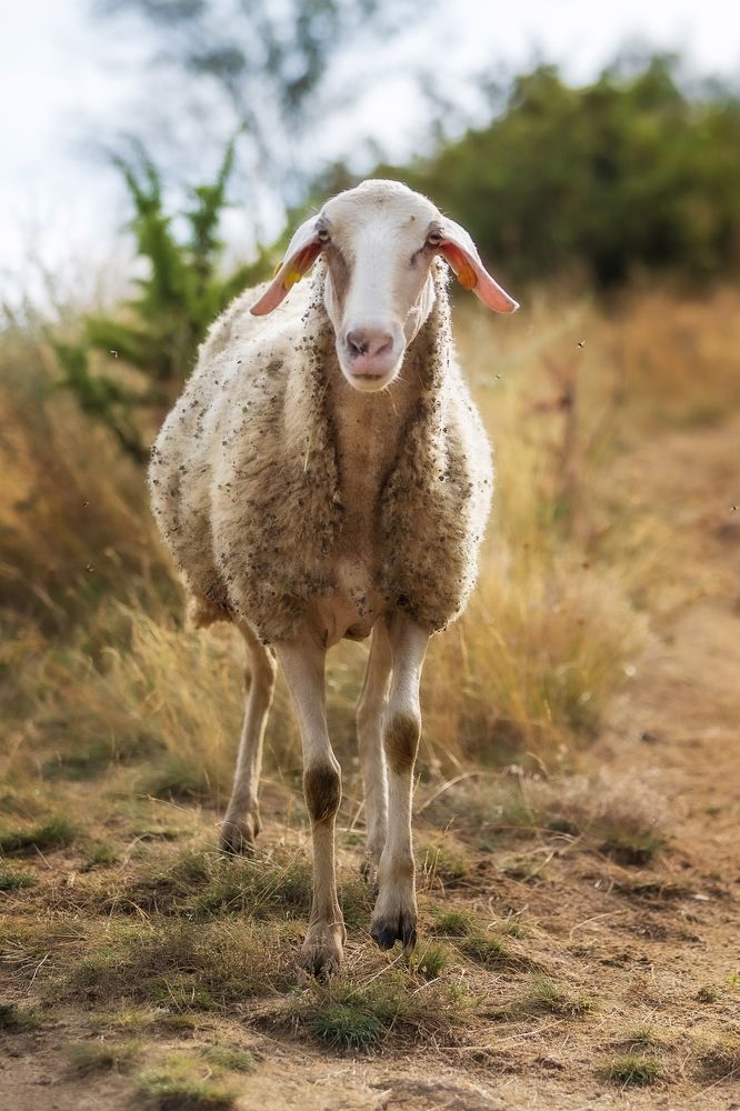 Photograph by Nataliya Nazarova