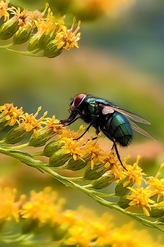 Photograph by Татьяна Бравая