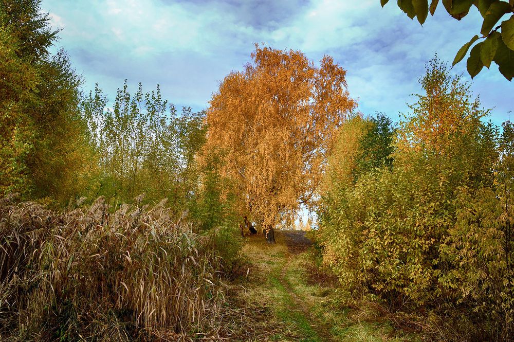 Photograph by Ирина Александрович