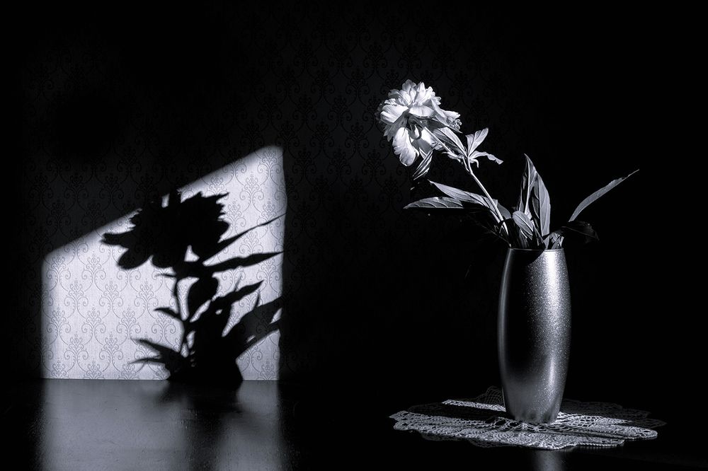 Одинокий пион