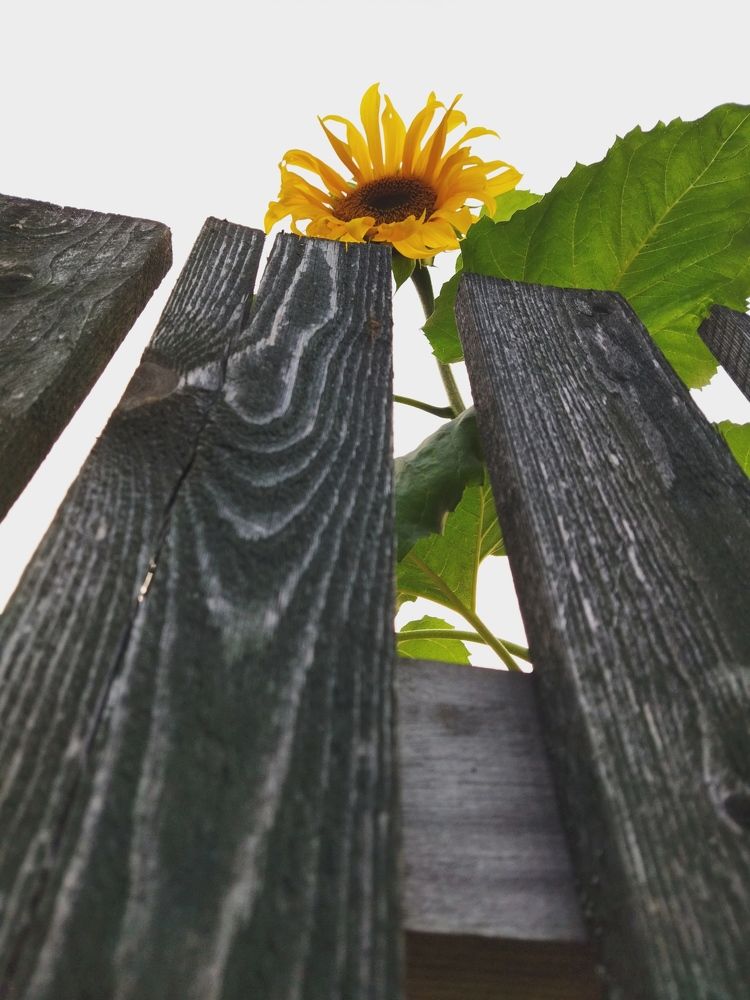 Фотография автора OKazik