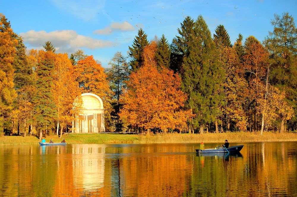 солнечный денек.