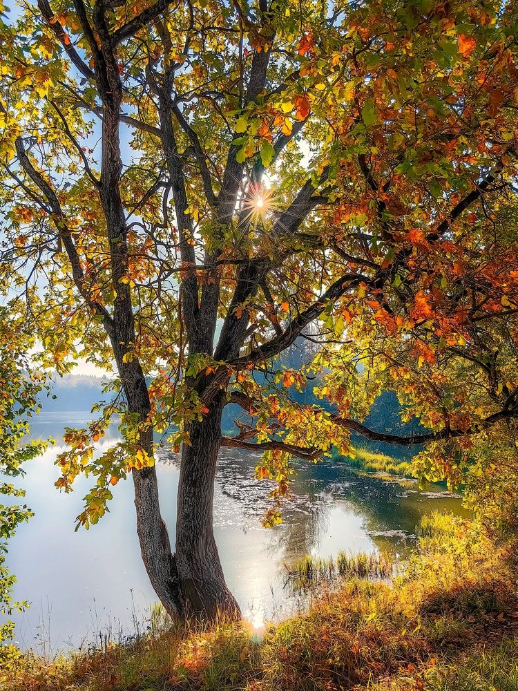 Photograph by Владимир Крылов