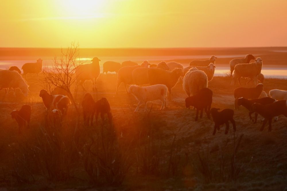 Photograph by Ольга Одаренко