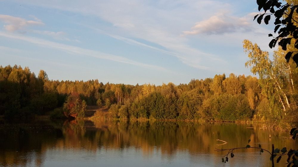 Золотой час