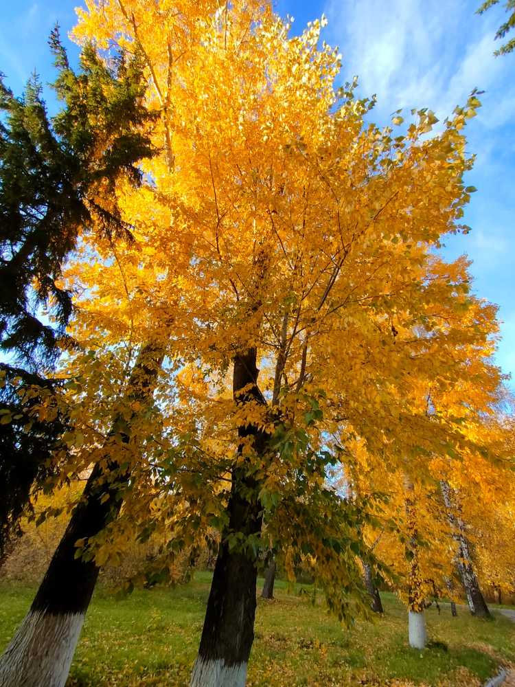 Photograph by Мазур Максим