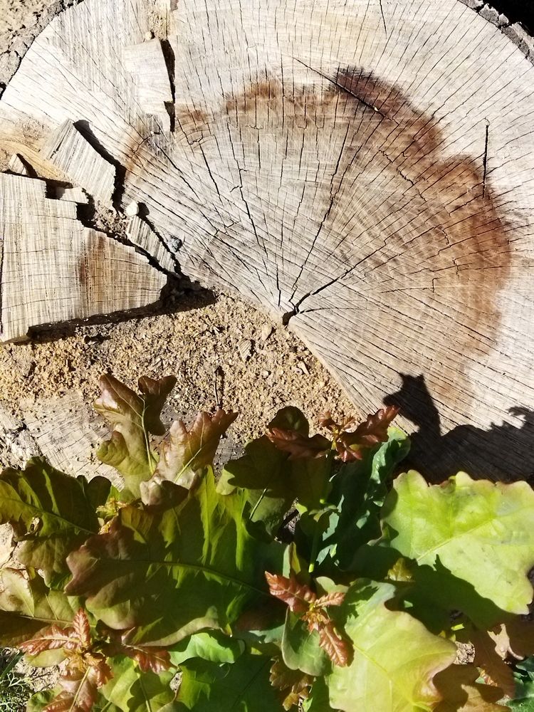 Фотография автора OKazik