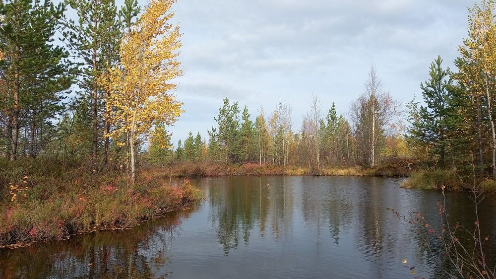 Фотография автора Евгения Зайцева