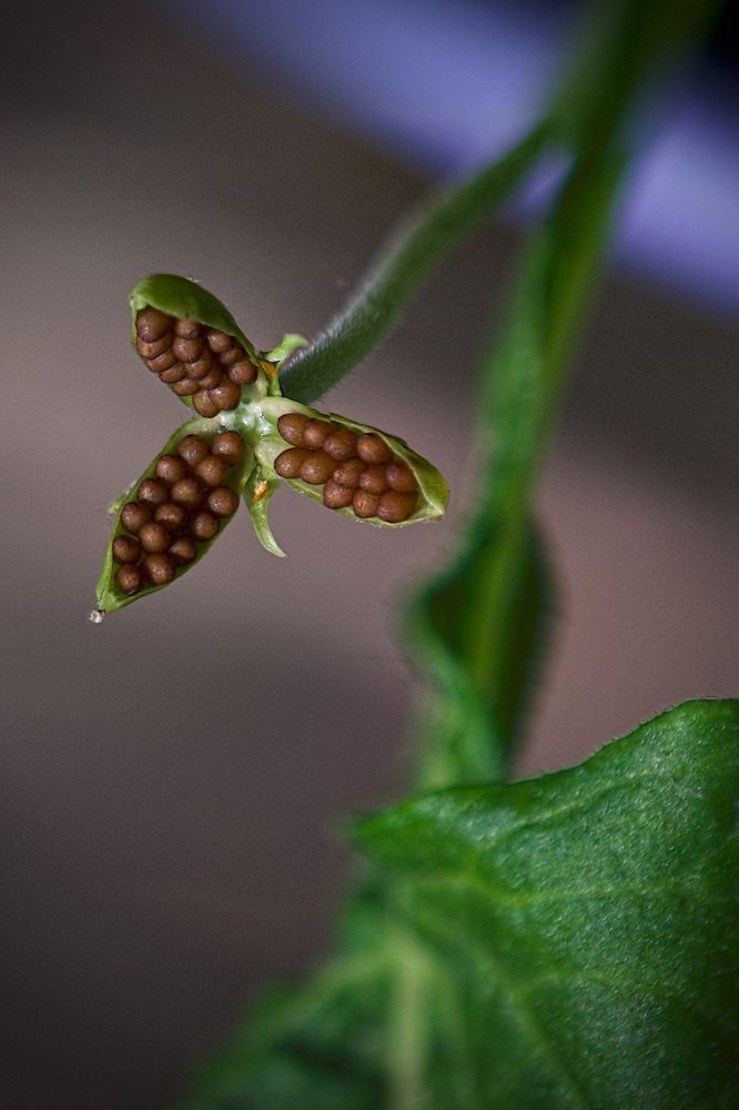 Photograph by Кривицкая Марина