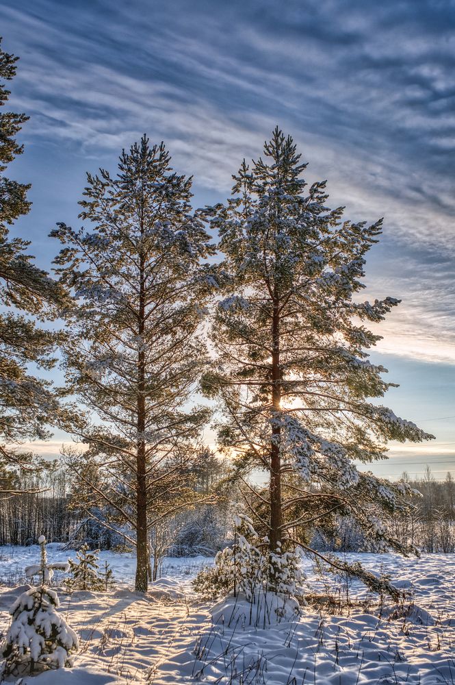 Photograph by Сергей Малеев