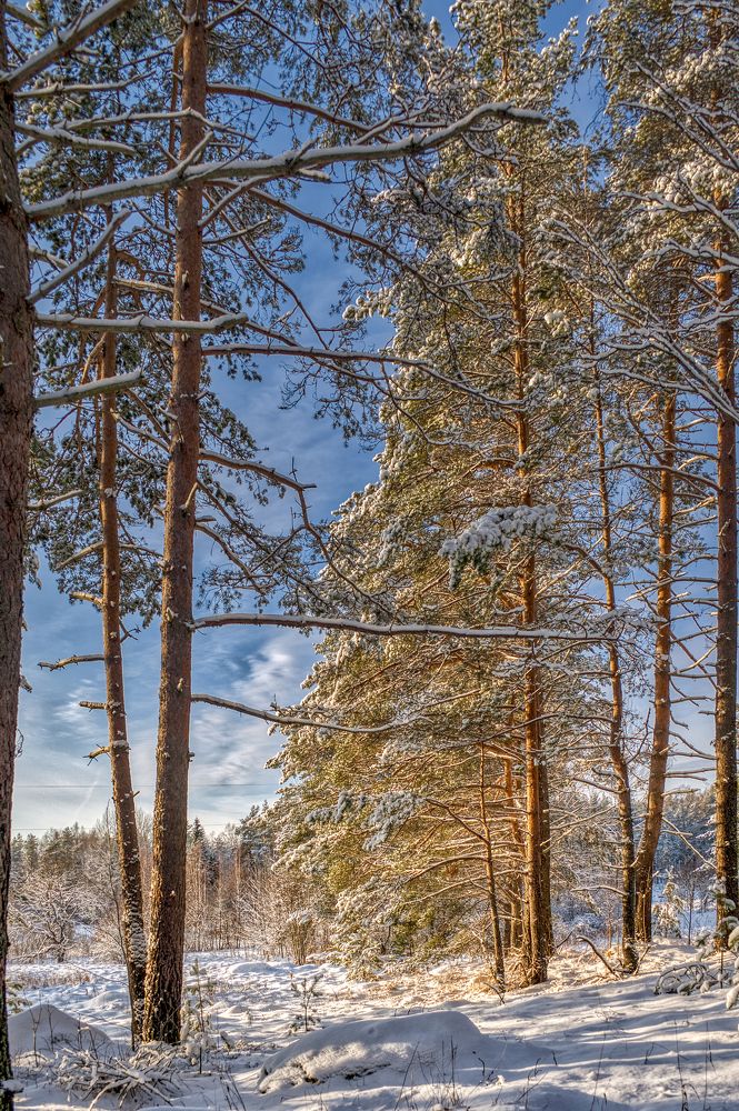 Photograph by Сергей Малеев