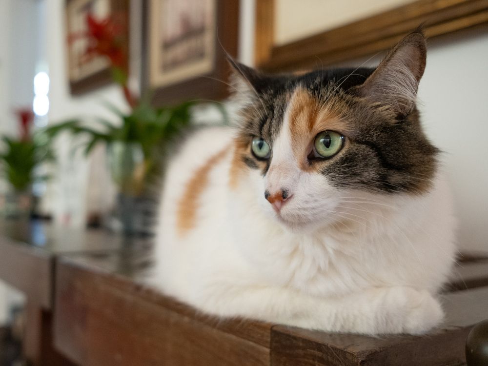 Photograph by João Paulo Tinoco