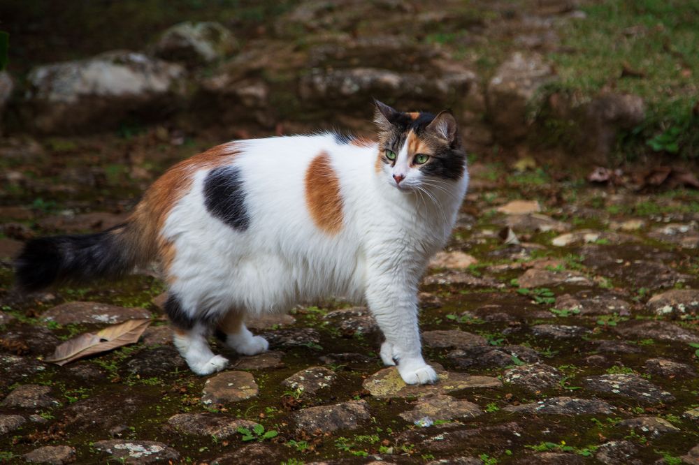 Photograph by João Paulo Tinoco