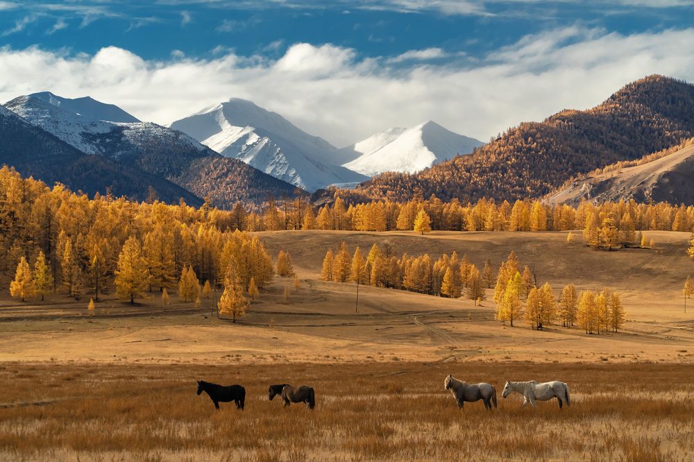 Photograph by Михаил Тильпунов