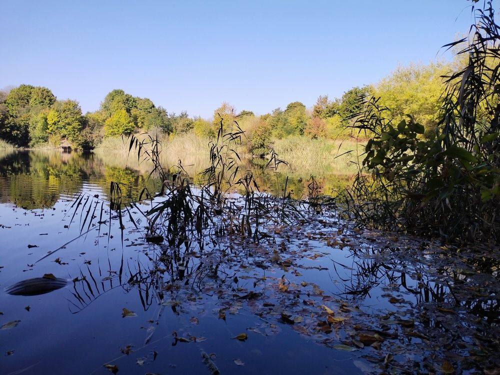 Photograph by Наташа Верхоламова