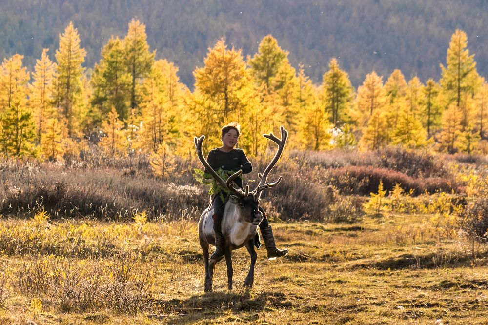 Фотография автора Михаил Тильпунов