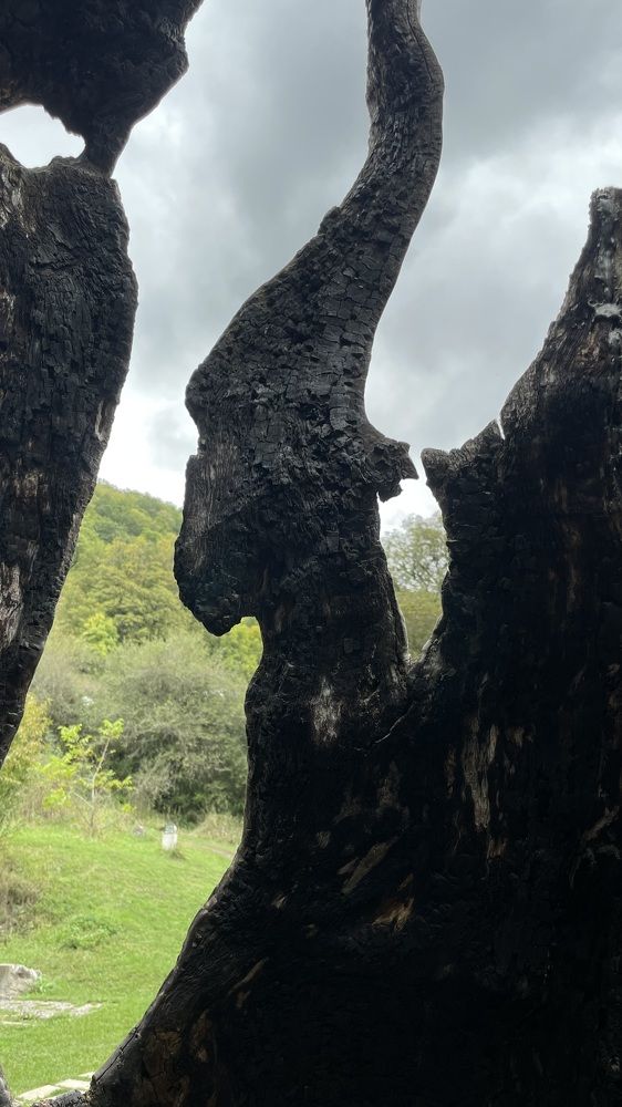 Photograph by Рузанна