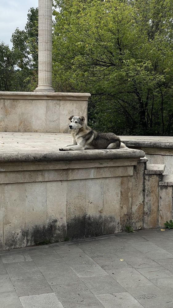 Photograph by Рузанна