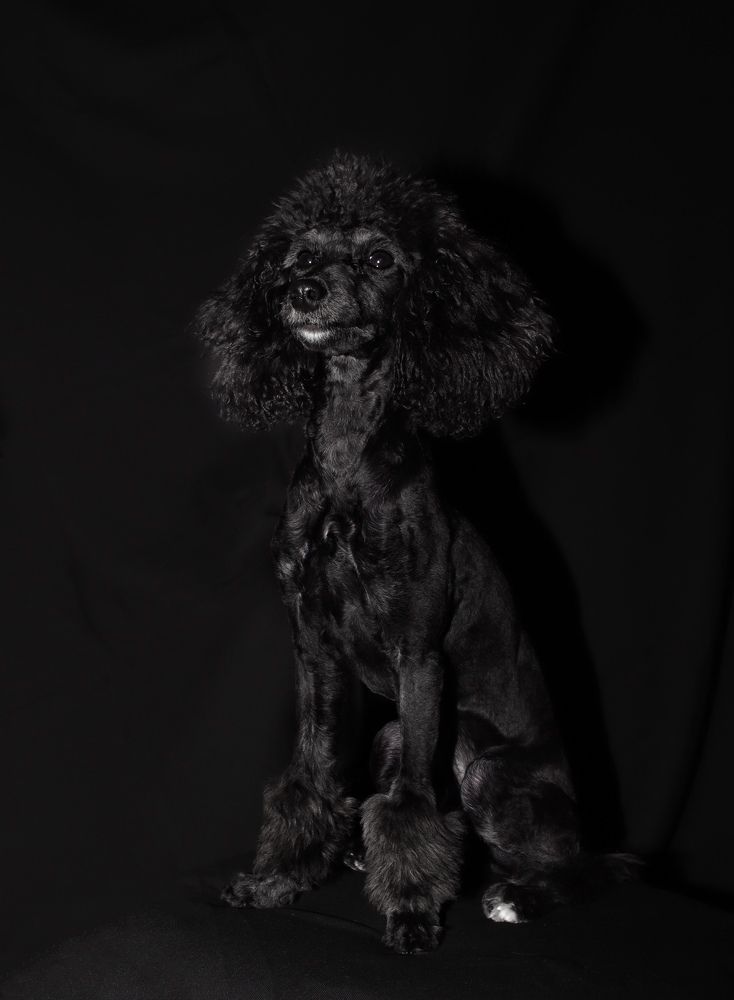 Photograph by Гуляева Светлана