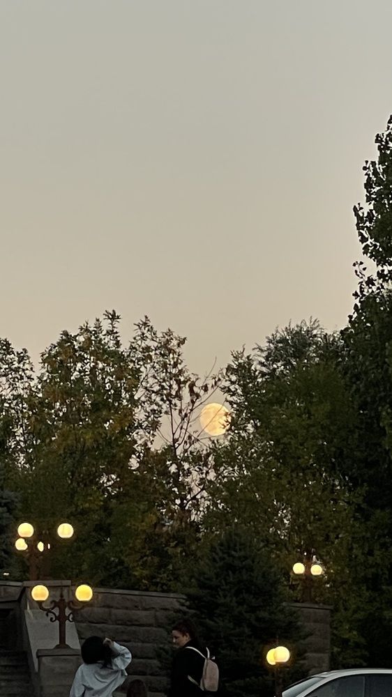 Photograph by Рузанна