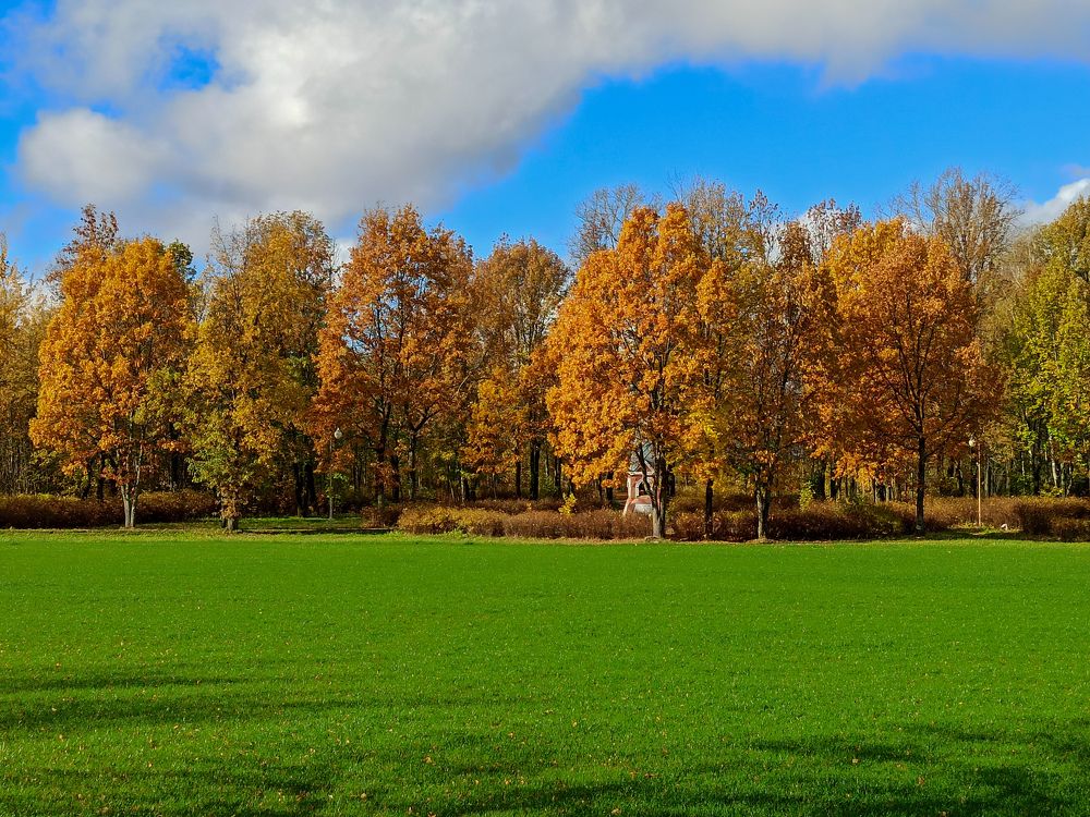 Photograph by Марина Сенгальт