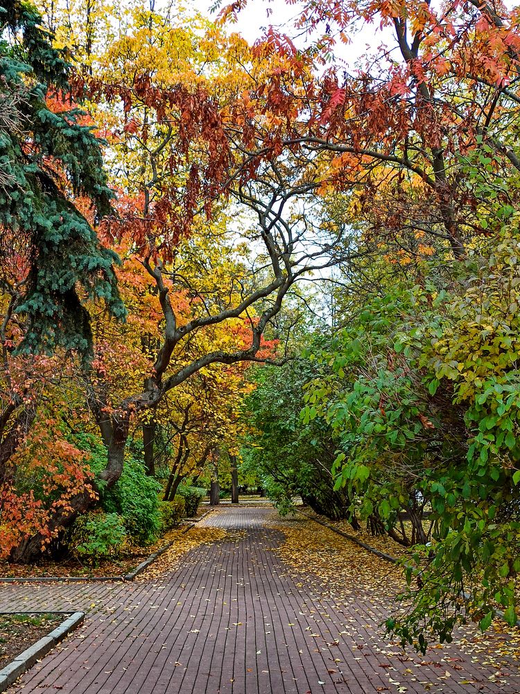 Photograph by Марина Сенгальт