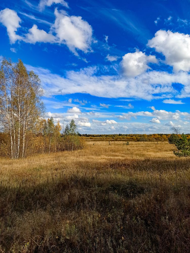 Photograph by Марина Сенгальт