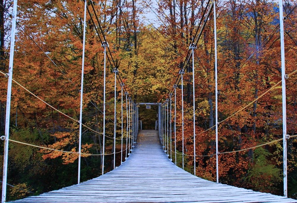 Осень в Гуамском ущелье