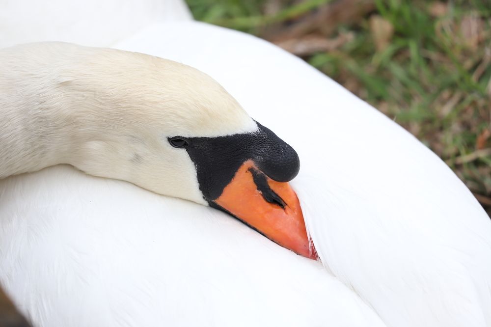 Photograph by Se Lena