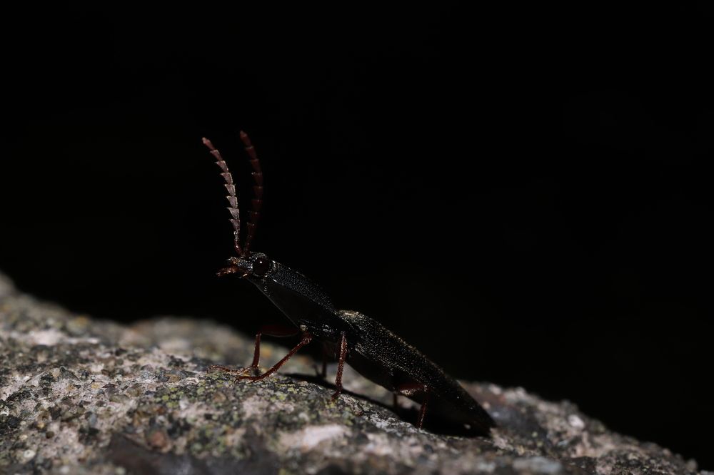 Photograph by Se Lena