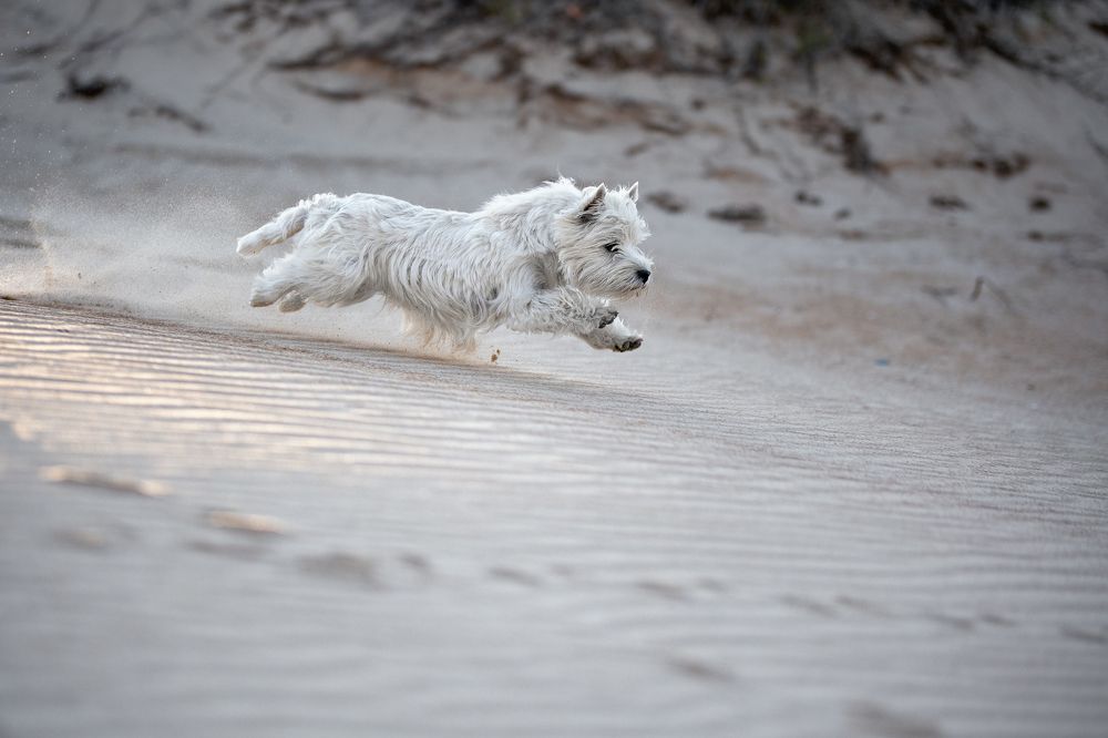 Photograph by Наталья Орел