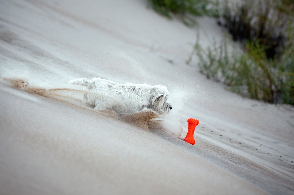 Photograph by Наталья Орел