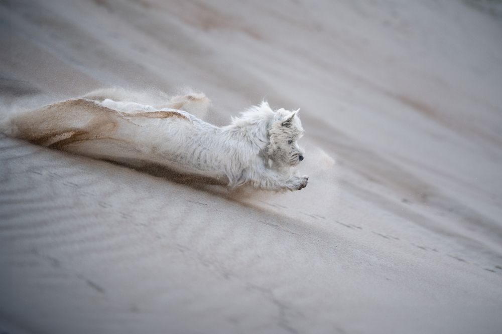 Photograph by Наталья Орел