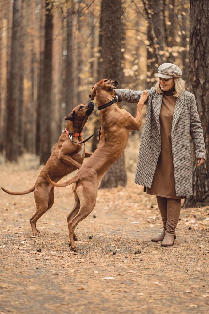 Фотография автора Карина Гливинская