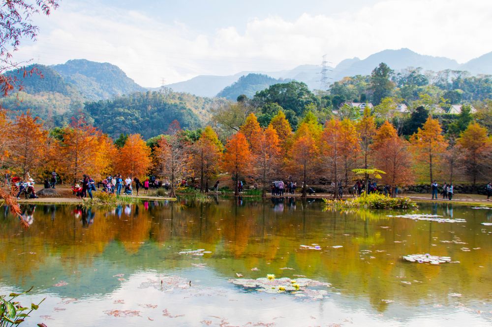 Photograph by  賴清淇