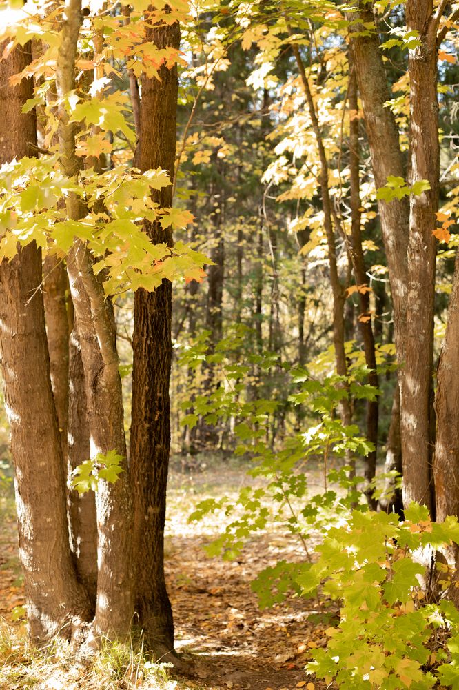 Photograph by Айгуль Кубиева