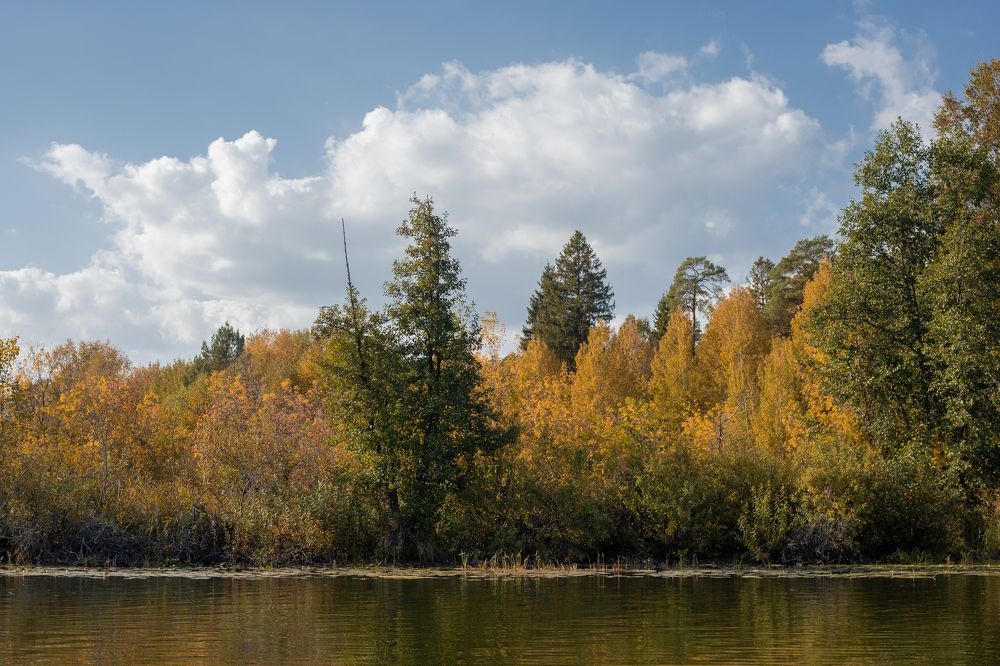 Photograph by Айгуль Кубиева