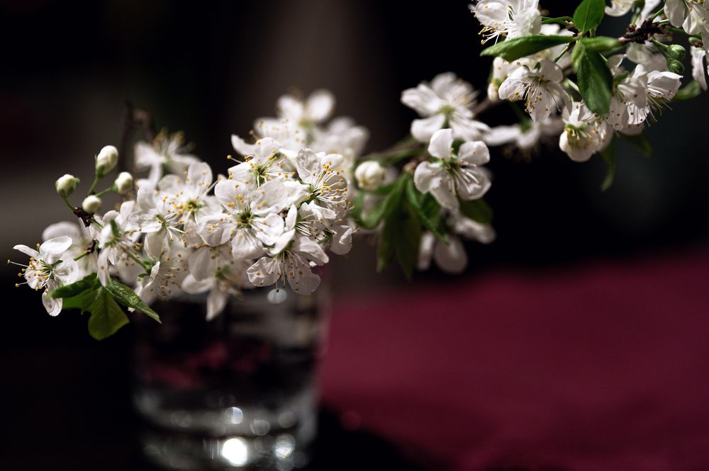 Photograph by Юлия Лис-а