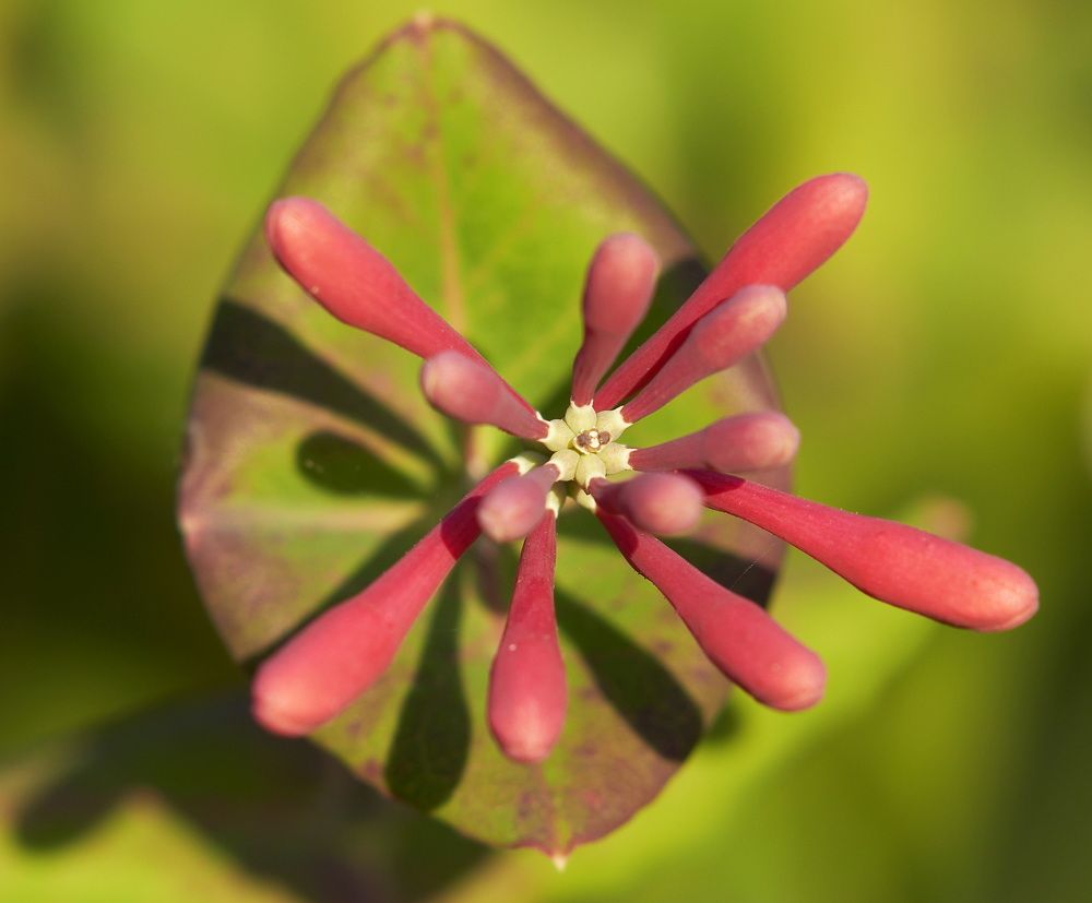 Photograph by Игорь Зиновьев