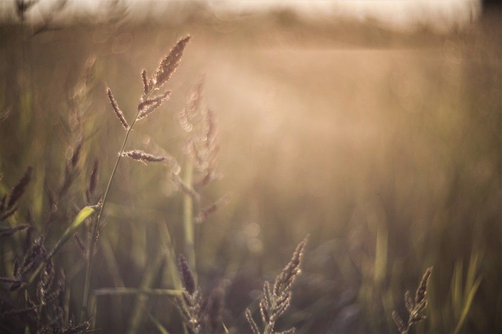 Фотография автора Юрий Кульмяков