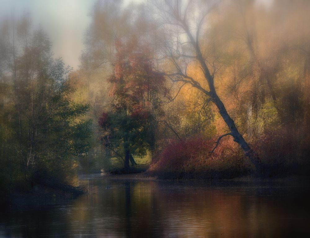 Photograph by Борис Кравецкий