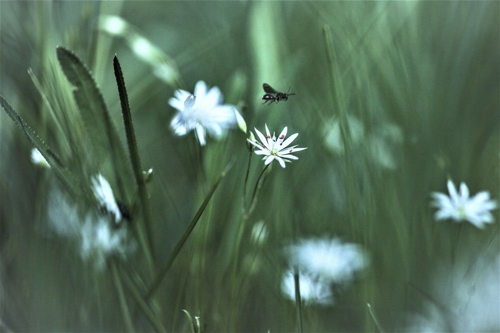 Фотография автора Юрий Кульмяков