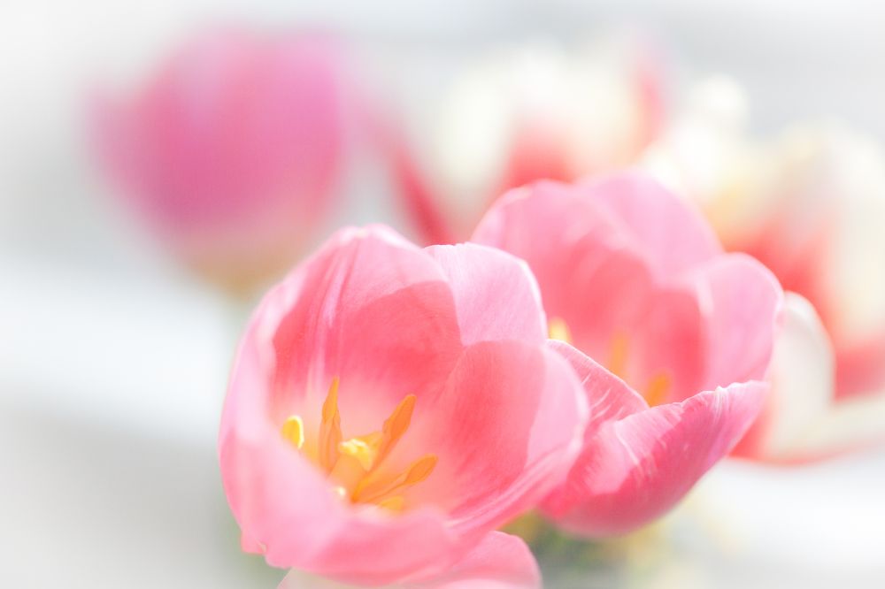 Фотография автора Юрий Кульмяков