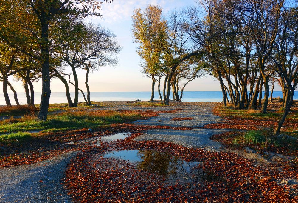 Фотография автора Сергей Гречихин